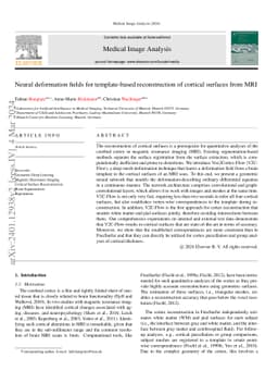 Neural deformation fields for template-based reconstruction of cortical
  surfaces from MRI