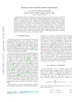 Quantum natural gradient without monotonicity