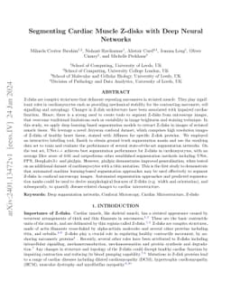 Segmenting Cardiac Muscle Z-disks with Deep Neural Networks