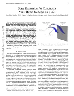 State Estimation for Continuum Multi-Robot Systems on SE(3)