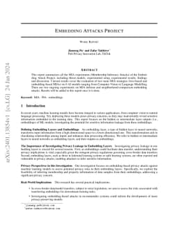 Embedding Attack Project (Work Report)