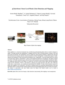 pLitterStreet: Street Level Plastic Litter Detection and Mapping