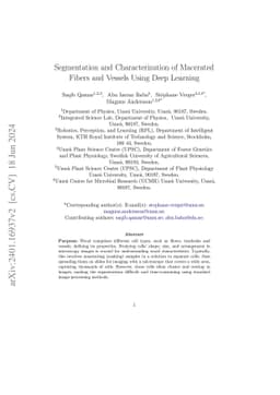 Segmentation and Characterization of Macerated Fibers and Vessels Using
  Deep Learning