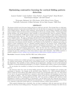 Optimizing contrastive learning for cortical folding pattern detection