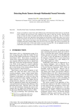 Detecting Brain Tumors through Multimodal Neural Networks