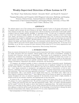 Weakly-Supervised Detection of Bone Lesions in CT