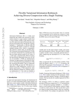 Flexible Variational Information Bottleneck: Achieving Diverse
  Compression with a Single Training