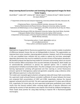 Deep Learning-Based Correction and Unmixing of Hyperspectral Images for
  Brain Tumor Surgery