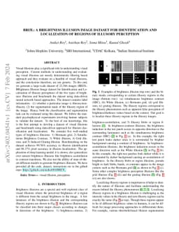 BRI3L: A Brightness Illusion Image Dataset for Identification and
  Localization of Regions of Illusory Perception