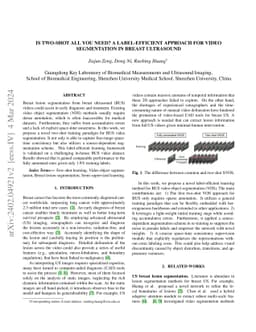 Is Two-shot All You Need? A Label-efficient Approach for Video
  Segmentation in Breast Ultrasound