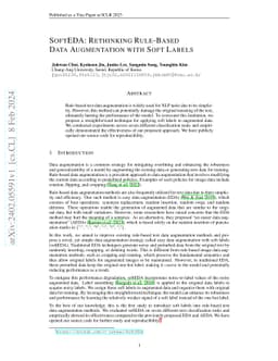 SoftEDA: Rethinking Rule-Based Data Augmentation with Soft Labels