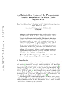 An Optimization Framework for Processing and Transfer Learning for the
  Brain Tumor Segmentation