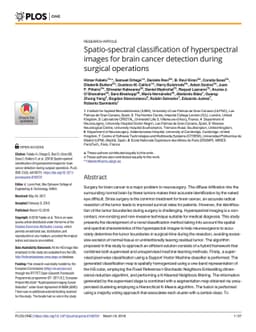 Spatio-spectral classification of hyperspectral images for brain cancer
  detection during surgical operations