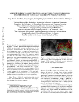 Multi-modality transrectal ultrasound video classification for
  identification of clinically significant prostate cancer