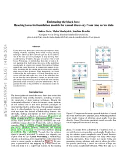 Embracing the black box: Heading towards foundation models for causal
  discovery from time series data