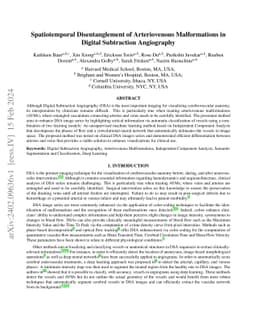 Spatiotemporal Disentanglement of Arteriovenous Malformations in Digital
  Subtraction Angiography