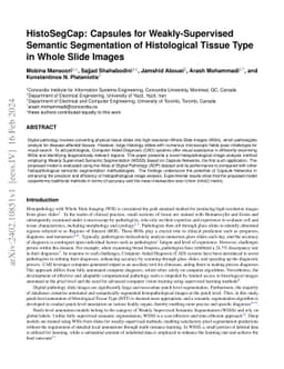 HistoSegCap: Capsules for Weakly-Supervised Semantic Segmentation of
  Histological Tissue Type in Whole Slide Images