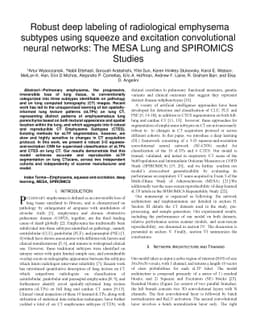 Robust deep labeling of radiological emphysema subtypes using squeeze
  and excitation convolutional neural networks: The MESA Lung and SPIROMICS
  Studies