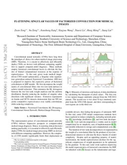 Flattening Singular Values of Factorized Convolution for Medical Images