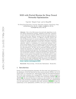SGD with Partial Hessian for Deep Neural Networks Optimization