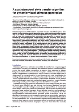 A spatiotemporal style transfer algorithm for dynamic visual stimulus
  generation