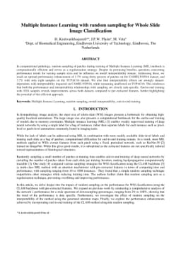Multiple Instance Learning with random sampling for Whole Slide Image
  Classification