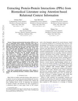 Extracting Protein-Protein Interactions (PPIs) from Biomedical
  Literature using Attention-based Relational Context Information