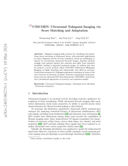 UNICORN: Ultrasound Nakagami Imaging via Score Matching and Adaptation