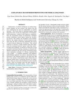 Explainable Transformer Prototypes for Medical Diagnoses