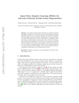 Input Data Adaptive Learning (IDAL) for Sub-acute Ischemic Stroke Lesion
  Segmentation