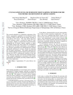 CT evaluation of 2D and 3D holistic deep learning methods for the
  volumetric segmentation of airway lesions