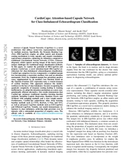CardioCaps: Attention-based Capsule Network for Class-Imbalanced
  Echocardiogram Classification
