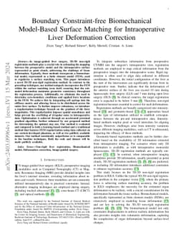 Boundary Constraint-free Biomechanical Model-Based Surface Matching for Intraoperative Liver Deformation Correction