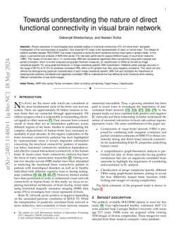 Towards understanding the nature of direct functional connectivity in
  visual brain network