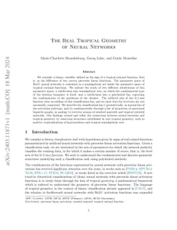 The Real Tropical Geometry of Neural Networks