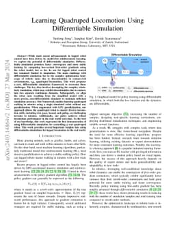 Learning Quadruped Locomotion Using Differentiable Simulation