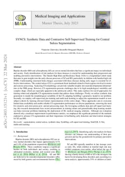 SYNCS: Synthetic Data and Contrastive Self-Supervised Training for
  Central Sulcus Segmentation