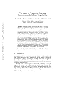 The Limits of Perception: Analyzing Inconsistencies in Saliency Maps in
  XAI