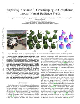 Exploring Accurate 3D Phenotyping in Greenhouse through Neural Radiance
  Fields