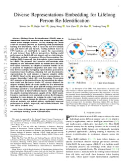 Diverse Representation Embedding for Lifelong Person Re-Identification