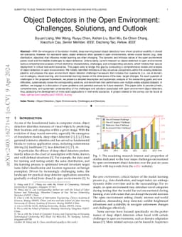 Object Detectors in the Open Environment: Challenges, Solutions, and
  Outlook