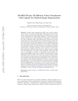 3D-EffiViTCaps: 3D Efficient Vision Transformer with Capsule for Medical
  Image Segmentation