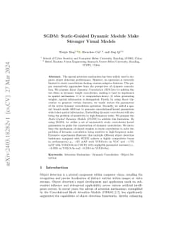 SGDM: Static-Guided Dynamic Module Make Stronger Visual Models
