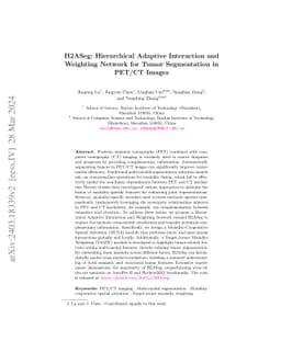 H2ASeg: Hierarchical Adaptive Interaction and Weighting Network for
  Tumor Segmentation in PET/CT Images
