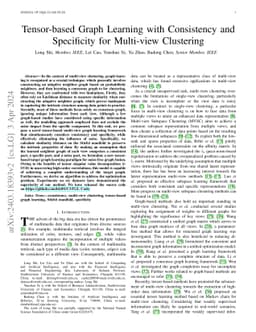 Tensor-based Graph Learning with Consistency and Specificity for
  Multi-view Clustering