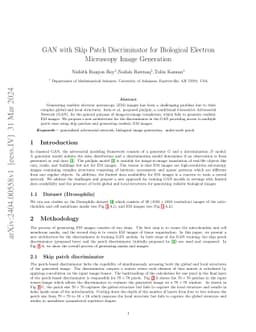 GAN with Skip Patch Discriminator for Biological Electron Microscopy
  Image Generation