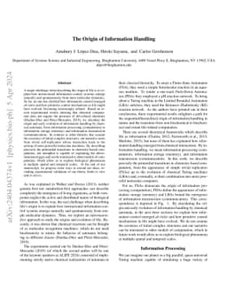 The Origin and Evolution of Information Handling