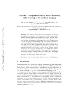 ProtoAL: Interpretable Deep Active Learning with prototypes for medical
  imaging