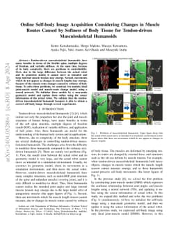 Online Self-body Image Acquisition Considering Changes in Muscle Routes
  Caused by Softness of Body Tissue for Tendon-driven Musculoskeletal Humanoids
