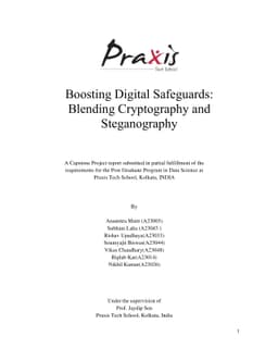 Boosting Digital Safeguards: Blending Cryptography and Steganography